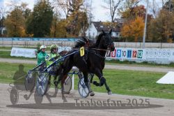 Dateiname=20251026_r06_076_R06_0347.jpg
Dateigröße=312KB
Abmessungen: 1000x667
hinzugefügt am: 28. Oktober 2025 20251026_r06_076_R06_0347.jpg