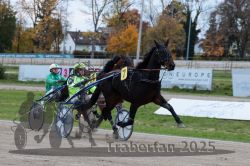 Dateiname=20251026_r06_077_R06_0350.jpg
Dateigröße=311KB
Abmessungen: 1000x667
hinzugefügt am: 28. Oktober 2025 20251026_r06_077_R06_0350.jpg