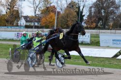 Dateiname=20251026_r06_078_R06_0351.jpg
Dateigröße=320KB
Abmessungen: 1000x667
hinzugefügt am: 28. Oktober 2025 20251026_r06_078_R06_0351.jpg