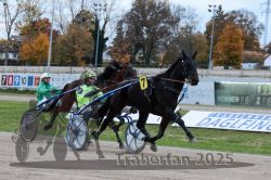 Dateiname=20251026_r06_079_R06_0354.jpg
Dateigröße=331KB
Abmessungen: 1000x667
hinzugefügt am: 28. Oktober 2025 20251026_r06_079_R06_0354.jpg