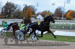 Dateiname=20251026_r06_080_R06_0358.jpg
Dateigröße=288KB
Abmessungen: 1000x667
hinzugefügt am: 28. Oktober 2025 20251026_r06_080_R06_0358.jpg