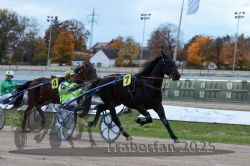 Dateiname=20251026_r06_081_R06_0359.jpg
Dateigröße=276KB
Abmessungen: 1000x667
hinzugefügt am: 28. Oktober 2025 20251026_r06_081_R06_0359.jpg