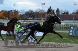 Dateiname=20251026_r06_083_R06_0365.jpg
Dateigröße=259KB
Abmessungen: 1000x667
hinzugefügt am: 28. Oktober 2025 20251026_r06_083_R06_0365.jpg