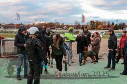 Dateiname=20251026_r06_090_R06_0397.jpg
Dateigröße=300KB
Abmessungen: 1000x667
hinzugefügt am: 28. Oktober 2025 20251026_r06_090_R06_0397.jpg