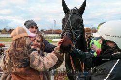 Dateiname=20251026_r06_102_R06_0450.jpg
Dateigröße=274KB
Abmessungen: 1000x667
hinzugefügt am: 28. Oktober 2025 20251026_r06_102_R06_0450.jpg