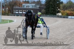 Dateiname=20251026_r06_105_R06_0472.jpg
Dateigröße=306KB
Abmessungen: 1000x667
hinzugefügt am: 28. Oktober 2025 20251026_r06_105_R06_0472.jpg