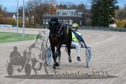 Dateiname=20251026_r06_106_R06_0478.jpg
Dateigröße=304KB
Abmessungen: 1000x667
hinzugefügt am: 28. Oktober 2025 20251026_r06_106_R06_0478.jpg