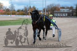 Dateiname=20251026_r06_107_R06_0483.jpg
Dateigröße=289KB
Abmessungen: 1000x667
hinzugefügt am: 28. Oktober 2025 20251026_r06_107_R06_0483.jpg