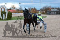 Dateiname=20251026_r06_108_R06_0489.jpg
Dateigröße=295KB
Abmessungen: 1000x667
hinzugefügt am: 28. Oktober 2025 20251026_r06_108_R06_0489.jpg