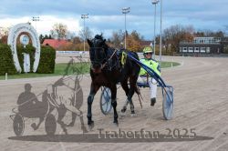 Dateiname=20251026_r06_109_R06_0490.jpg
Dateigröße=292KB
Abmessungen: 1000x667
hinzugefügt am: 28. Oktober 2025 20251026_r06_109_R06_0490.jpg