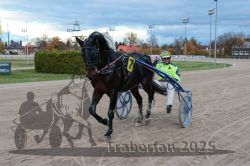 Dateiname=20251026_r06_112_R06_0498.jpg
Dateigröße=291KB
Abmessungen: 1000x667
hinzugefügt am: 28. Oktober 2025 20251026_r06_112_R06_0498.jpg