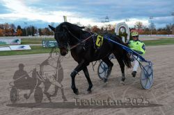 Dateiname=20251026_r06_114_R06_0504.jpg
Dateigröße=276KB
Abmessungen: 1000x667
hinzugefügt am: 28. Oktober 2025 20251026_r06_114_R06_0504.jpg