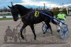 Dateiname=20251026_r06_116_R06_0509.jpg
Dateigröße=297KB
Abmessungen: 1000x667
hinzugefügt am: 28. Oktober 2025 20251026_r06_116_R06_0509.jpg