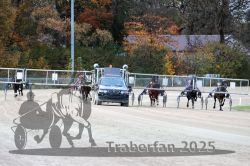 Dateiname=20251026_r07_002_R07_0010.jpg
Dateigröße=359KB
Abmessungen: 1000x667
hinzugefügt am: 28. Oktober 2025 20251026_r07_002_R07_0010.jpg