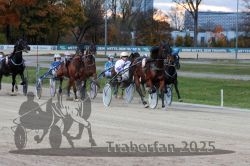 Dateiname=20251026_r07_003_R07_0013.jpg
Dateigröße=316KB
Abmessungen: 1000x667
hinzugefügt am: 28. Oktober 2025 20251026_r07_003_R07_0013.jpg