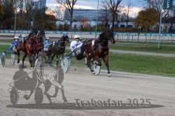 Dateiname=20251026_r07_005_R07_0020.jpg
Dateigröße=313KB
Abmessungen: 1000x667
hinzugefügt am: 28. Oktober 2025 20251026_r07_005_R07_0020.jpg