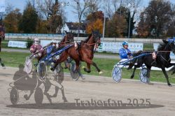 Dateiname=20251026_r07_011_R07_0036.jpg
Dateigröße=338KB
Abmessungen: 1000x667
hinzugefügt am: 28. Oktober 2025 20251026_r07_011_R07_0036.jpg