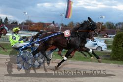 Dateiname=20251026_r07_015_R07_0049.jpg
Dateigröße=258KB
Abmessungen: 1000x667
hinzugefügt am: 28. Oktober 2025 20251026_r07_015_R07_0049.jpg