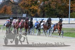 Dateiname=20251026_r07_022_R07_0075.jpg
Dateigröße=329KB
Abmessungen: 1000x667
hinzugefügt am: 28. Oktober 2025 20251026_r07_022_R07_0075.jpg