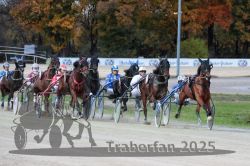 Dateiname=20251026_r07_024_R07_0083.jpg
Dateigröße=326KB
Abmessungen: 1000x667
hinzugefügt am: 28. Oktober 2025 20251026_r07_024_R07_0083.jpg