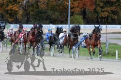 Dateiname=20251026_r07_025_R07_0087.jpg
Dateigröße=321KB
Abmessungen: 1000x667
hinzugefügt am: 28. Oktober 2025 20251026_r07_025_R07_0087.jpg