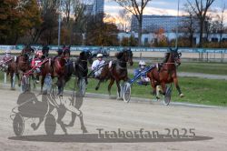 Dateiname=20251026_r07_027_R07_0095.jpg
Dateigröße=331KB
Abmessungen: 1000x667
hinzugefügt am: 28. Oktober 2025 20251026_r07_027_R07_0095.jpg