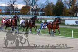 Dateiname=20251026_r07_031_R07_0110.jpg
Dateigröße=329KB
Abmessungen: 1000x667
hinzugefügt am: 28. Oktober 2025 20251026_r07_031_R07_0110.jpg