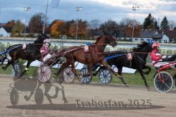 Dateiname=20251026_r07_034_R07_0132.jpg
Dateigröße=304KB
Abmessungen: 1000x667
hinzugefügt am: 28. Oktober 2025 20251026_r07_034_R07_0132.jpg