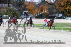 Dateiname=20251026_r07_038_R07_0152.jpg
Dateigröße=330KB
Abmessungen: 1000x667
hinzugefügt am: 28. Oktober 2025 20251026_r07_038_R07_0152.jpg