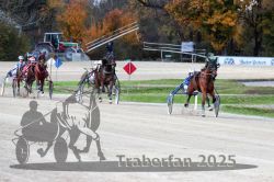 Dateiname=20251026_r07_040_R07_0163.jpg
Dateigröße=316KB
Abmessungen: 1000x667
hinzugefügt am: 28. Oktober 2025 20251026_r07_040_R07_0163.jpg