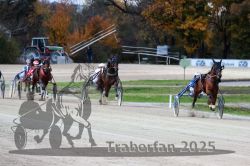 Dateiname=20251026_r07_041_R07_0169.jpg
Dateigröße=302KB
Abmessungen: 1000x667
hinzugefügt am: 28. Oktober 2025 20251026_r07_041_R07_0169.jpg