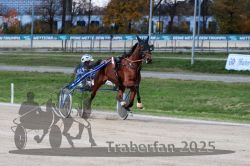 Dateiname=20251026_r07_042_R07_0173.jpg
Dateigröße=308KB
Abmessungen: 1000x667
hinzugefügt am: 28. Oktober 2025 20251026_r07_042_R07_0173.jpg