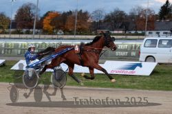 Dateiname=20251026_r07_046_R07_0184.jpg
Dateigröße=278KB
Abmessungen: 1000x667
hinzugefügt am: 28. Oktober 2025 20251026_r07_046_R07_0184.jpg