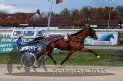 Dateiname=20251026_r07_051_R07_0194.jpg
Dateigröße=287KB
Abmessungen: 1000x667
hinzugefügt am: 28. Oktober 2025 20251026_r07_051_R07_0194.jpg