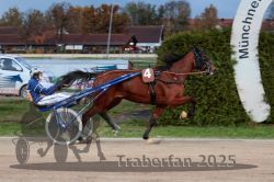 Dateiname=20251026_r07_053_R07_0197.jpg
Dateigröße=296KB
Abmessungen: 1000x667
hinzugefügt am: 28. Oktober 2025 20251026_r07_053_R07_0197.jpg