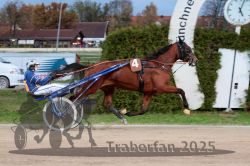 Dateiname=20251026_r07_054_R07_0198.jpg
Dateigröße=300KB
Abmessungen: 1000x667
hinzugefügt am: 28. Oktober 2025 20251026_r07_054_R07_0198.jpg