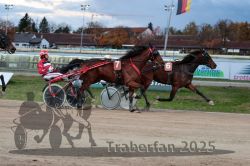 Dateiname=20251026_r07_056_R07_0204.jpg
Dateigröße=290KB
Abmessungen: 1000x667
hinzugefügt am: 28. Oktober 2025 20251026_r07_056_R07_0204.jpg