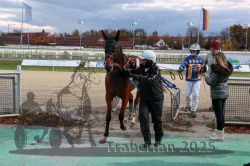 Dateiname=20251026_r07_059_R07_0226.jpg
Dateigröße=337KB
Abmessungen: 1000x667
hinzugefügt am: 28. Oktober 2025 20251026_r07_059_R07_0226.jpg