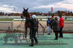 Dateiname=20251026_r07_060_R07_0241.jpg
Dateigröße=304KB
Abmessungen: 1000x667
hinzugefügt am: 28. Oktober 2025 20251026_r07_060_R07_0241.jpg