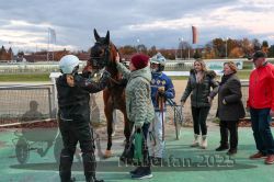 Dateiname=20251026_r07_062_R07_0252.jpg
Dateigröße=316KB
Abmessungen: 1000x667
hinzugefügt am: 28. Oktober 2025 20251026_r07_062_R07_0252.jpg