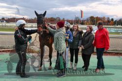 Dateiname=20251026_r07_063_R07_0261.jpg
Dateigröße=326KB
Abmessungen: 1000x667
hinzugefügt am: 28. Oktober 2025 20251026_r07_063_R07_0261.jpg