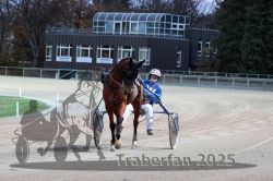 Dateiname=20251026_r07_075_R07_0320.jpg
Dateigröße=301KB
Abmessungen: 1000x667
hinzugefügt am: 28. Oktober 2025 20251026_r07_075_R07_0320.jpg