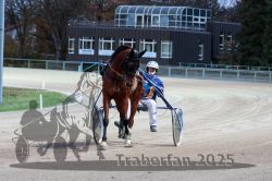 Dateiname=20251026_r07_076_R07_0326.jpg
Dateigröße=293KB
Abmessungen: 1000x667
hinzugefügt am: 28. Oktober 2025 20251026_r07_076_R07_0326.jpg