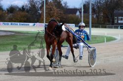 Dateiname=20251026_r07_077_R07_0332.jpg
Dateigröße=297KB
Abmessungen: 1000x667
hinzugefügt am: 28. Oktober 2025 20251026_r07_077_R07_0332.jpg