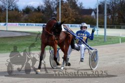 Dateiname=20251026_r07_078_R07_0336.jpg
Dateigröße=303KB
Abmessungen: 1000x667
hinzugefügt am: 28. Oktober 2025 20251026_r07_078_R07_0336.jpg