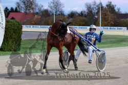 Dateiname=20251026_r07_079_R07_0344.jpg
Dateigröße=304KB
Abmessungen: 1000x667
hinzugefügt am: 28. Oktober 2025 20251026_r07_079_R07_0344.jpg