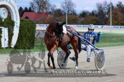 Dateiname=20251026_r07_080_R07_0347.jpg
Dateigröße=324KB
Abmessungen: 1000x667
hinzugefügt am: 28. Oktober 2025 20251026_r07_080_R07_0347.jpg