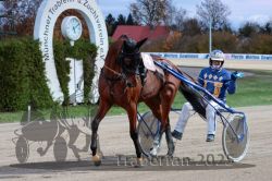 Dateiname=20251026_r07_082_R07_0352.jpg
Dateigröße=328KB
Abmessungen: 1000x667
hinzugefügt am: 28. Oktober 2025 20251026_r07_082_R07_0352.jpg