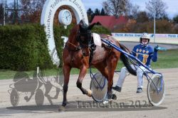 Dateiname=20251026_r07_083_R07_0354.jpg
Dateigröße=323KB
Abmessungen: 1000x667
hinzugefügt am: 28. Oktober 2025 20251026_r07_083_R07_0354.jpg