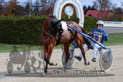 Dateiname=20251026_r07_084_R07_0358.jpg
Dateigröße=345KB
Abmessungen: 1000x667
hinzugefügt am: 28. Oktober 2025 20251026_r07_084_R07_0358.jpg